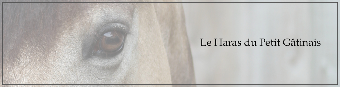 Le Haras du Petit Gâtinais